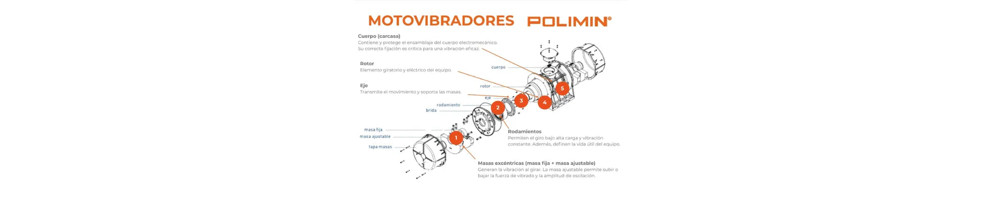 Motovibradores