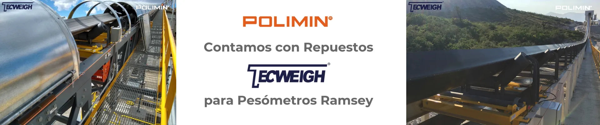Pesómetros Tecweigh